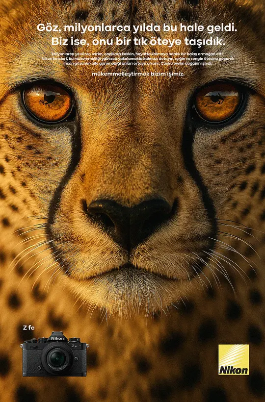 Nikon campaign artwork 6